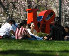 A group of people sitting on the grass.