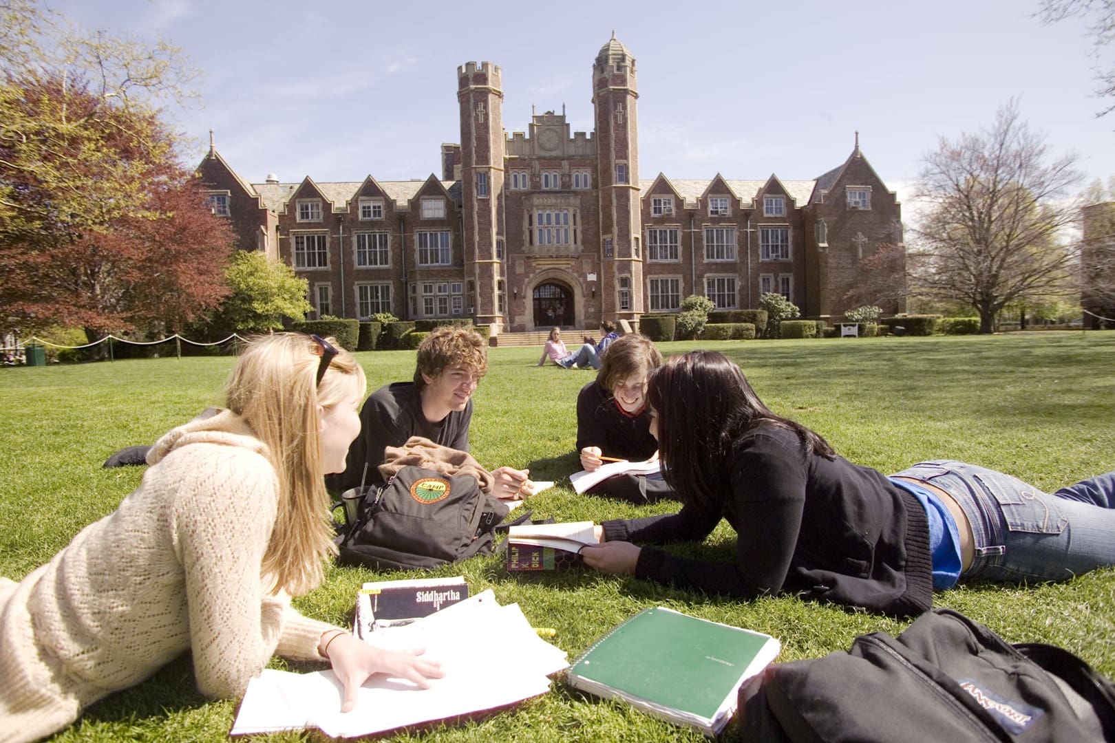 A group of students sitting on the grass studying.